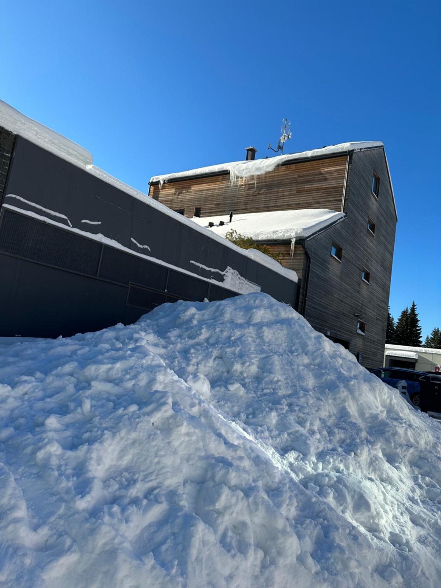 U Jelena Harrachov - Rodinny Apartman U Lesa S Garazi ภายนอก รูปภาพ